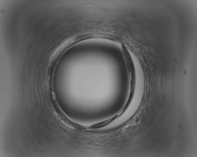 X0000082720197200702091821