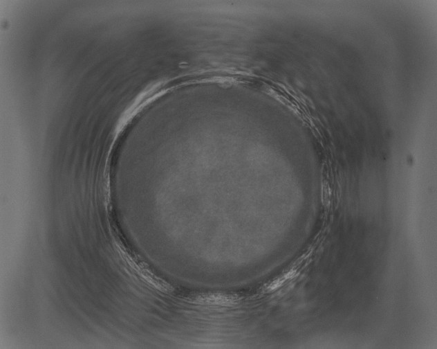 X0000082720198200702091821