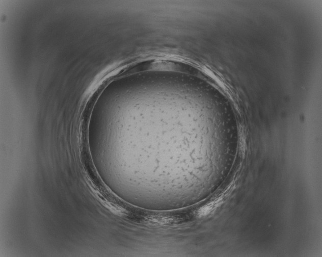 X0000082720199200702091821