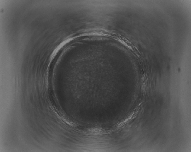 X0000082720200200702091821