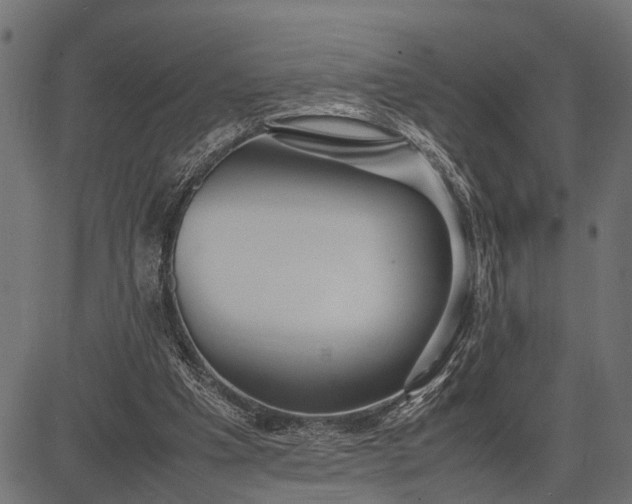 X0000082720201200702091821