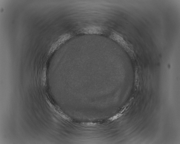 X0000082720202200702091821