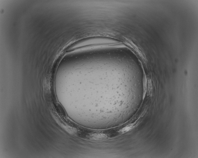 X0000082720203200702091821