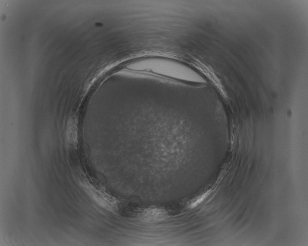 X0000082720204200702091821