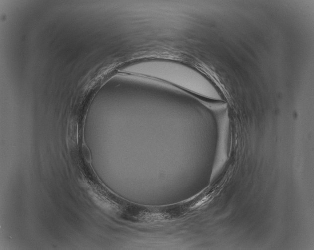 X0000082720205200702091821