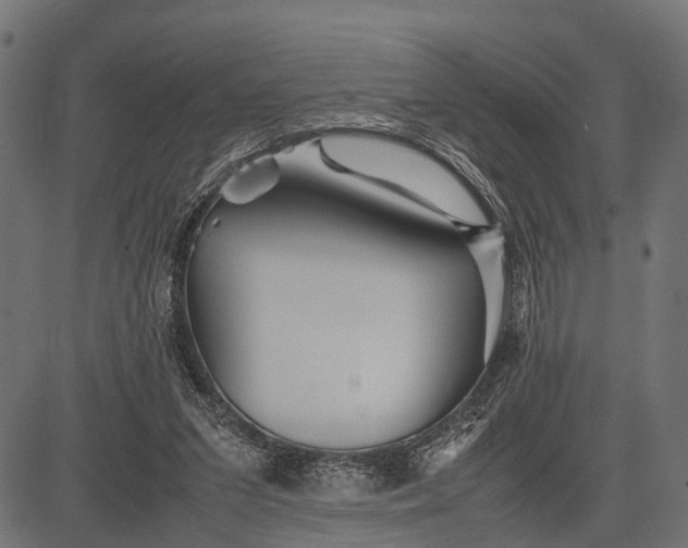 X0000082720207200702091821