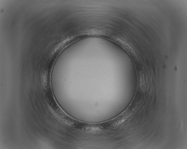 X0000082720208200702091821