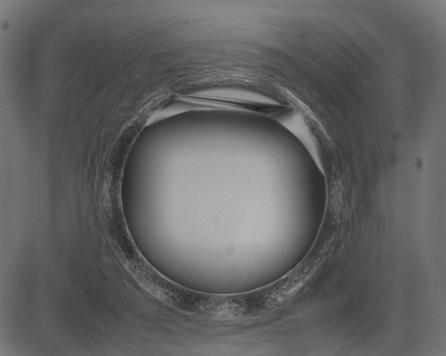 X0000082720209200702091821