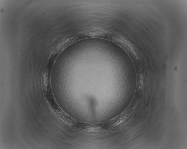 X0000082720210200702091821