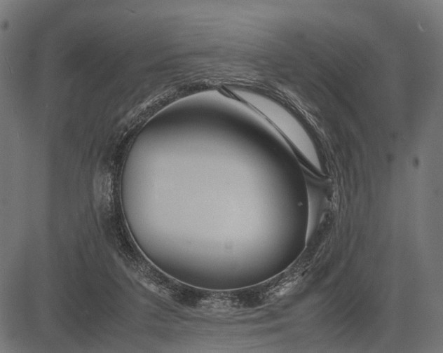 X0000082720211200702091821