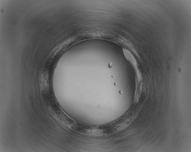 X0000082720212200702091821