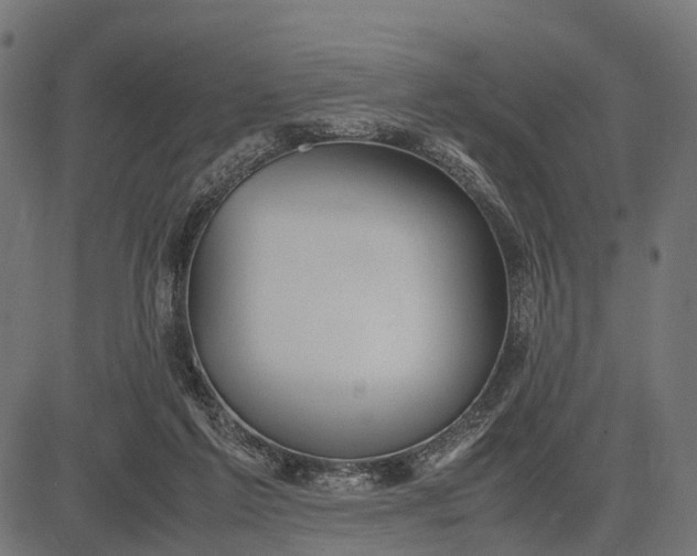 X0000082720213200702091821