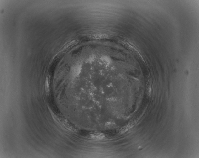 X0000082720214200702091821