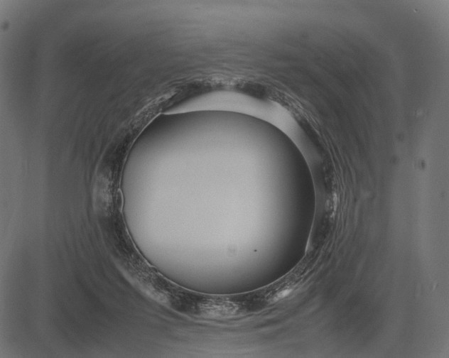 X0000082720215200702091821