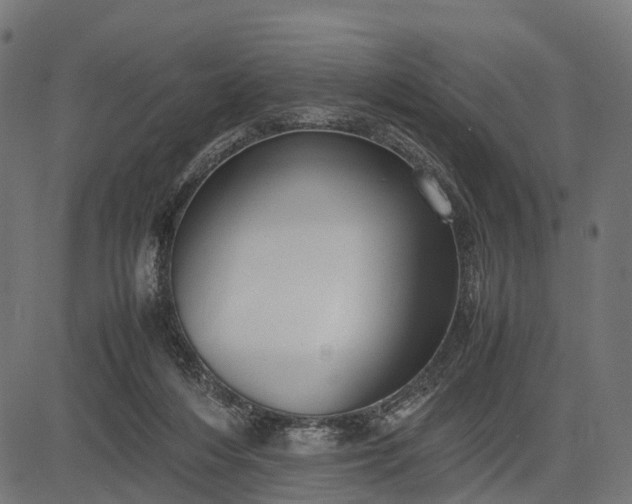 X0000082720216200702091821