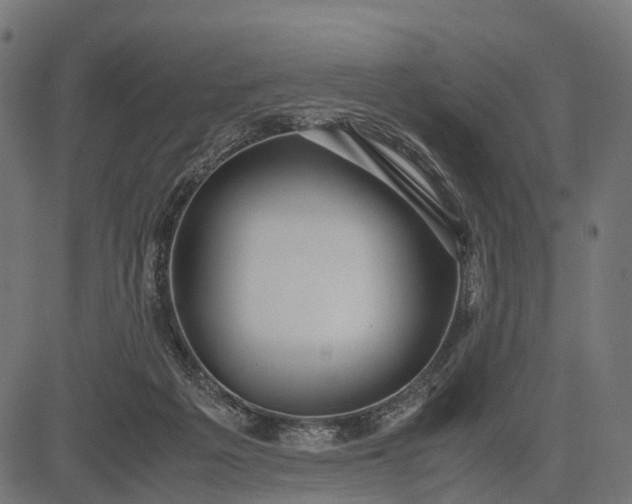 X0000082720217200702091821