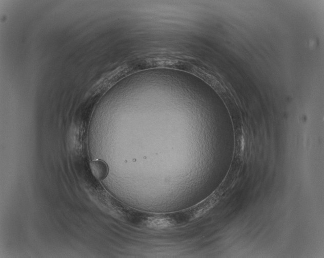 X0000082720218200702091821