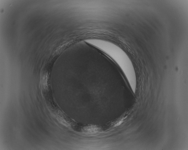 X0000082720219200702091821