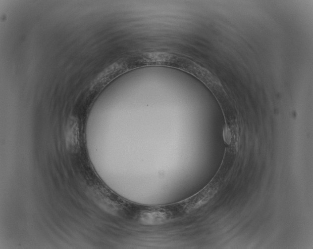 X0000082720220200702091821