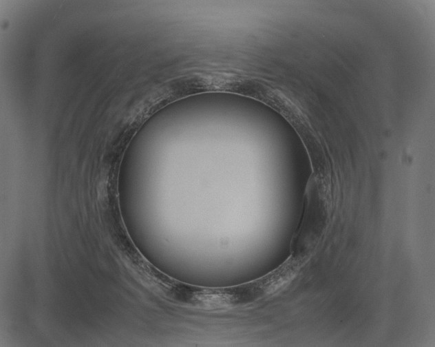 X0000082720221200702091821