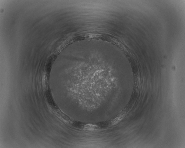 X0000082720222200702091821