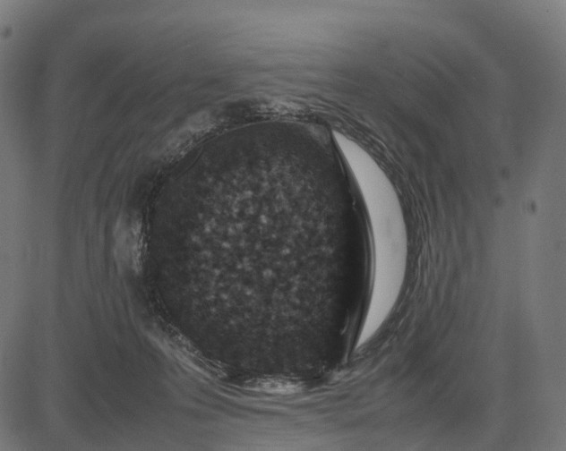 X0000082720223200702091821