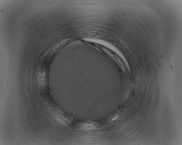 X0000082720224200702091821