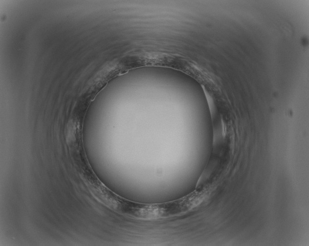 X0000082720225200702091821