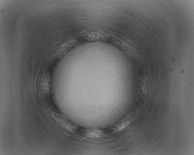 X0000082720226200702091820