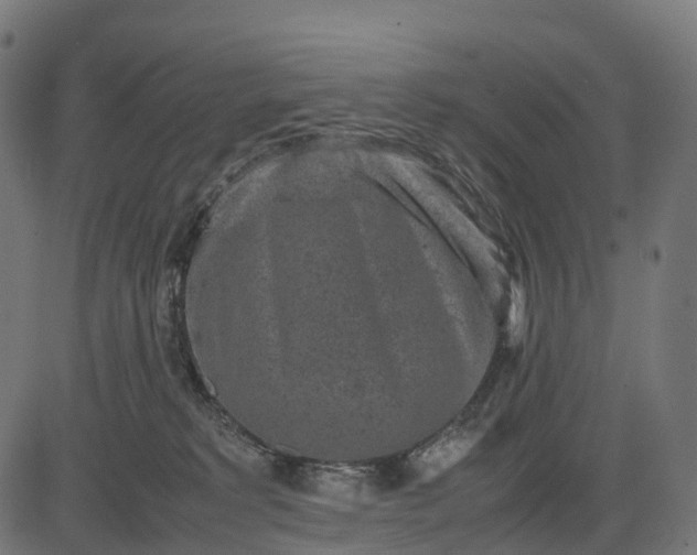 X0000082720229200702091820