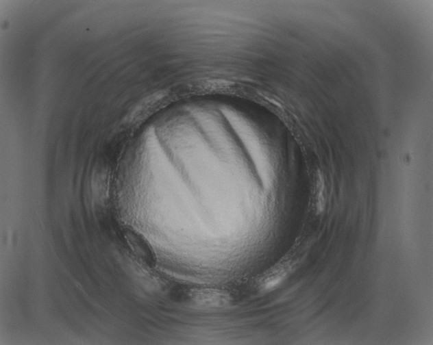 X0000082720230200702091820