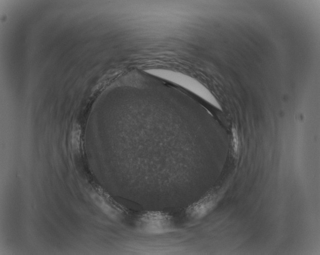 X0000082720231200702091820