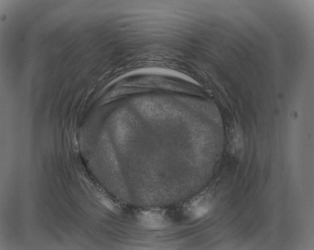 X0000082720232200702091820