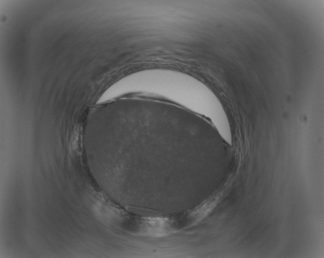 X0000082720233200702091820