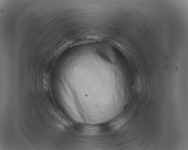 X0000082720234200702091820