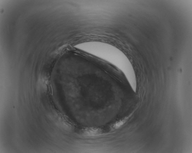 X0000082720235200702091820