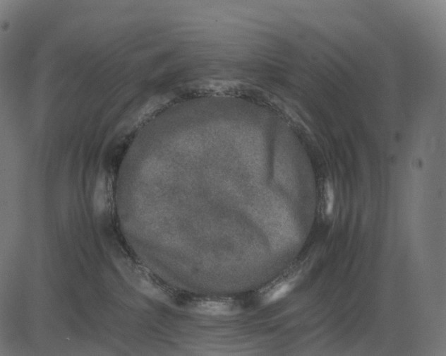 X0000082720236200702091820