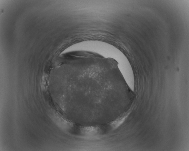 X0000082720237200702091820