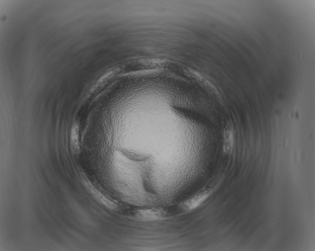 X0000082720238200702091820