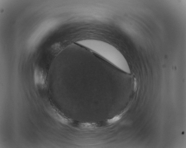 X0000082720239200702091820