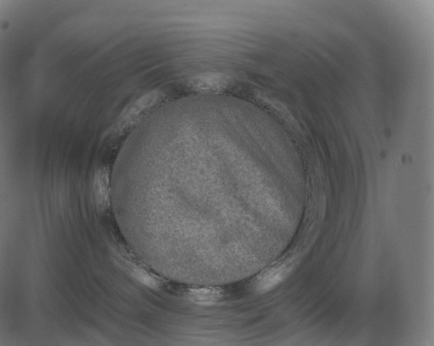 X0000082720240200702091820