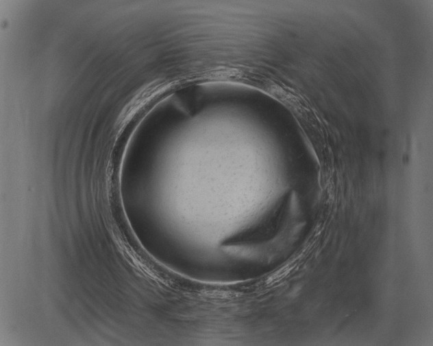 X0000082720242200702091819