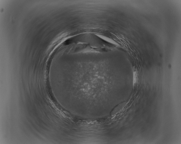 X0000082720243200702091820