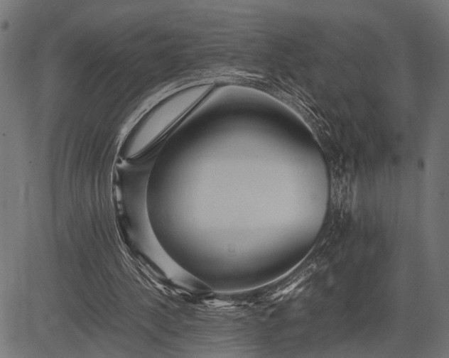 X0000082720244200702091820