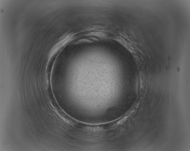 X0000082720245200702091820