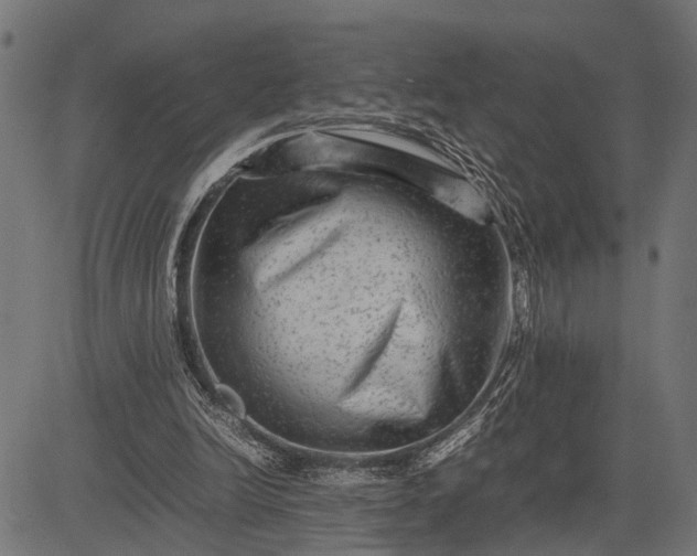 X0000082720246200702091820