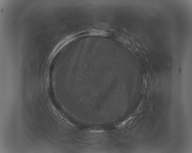 X0000082720247200702091820