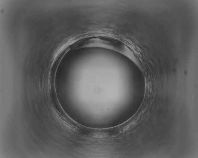 X0000082720248200702091820