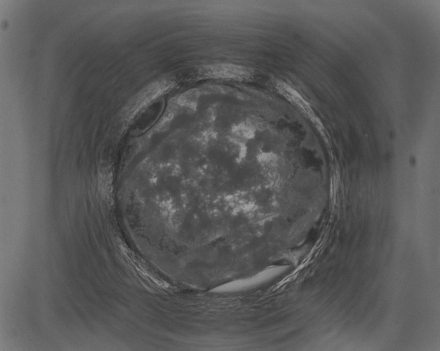 X0000082720249200702091820