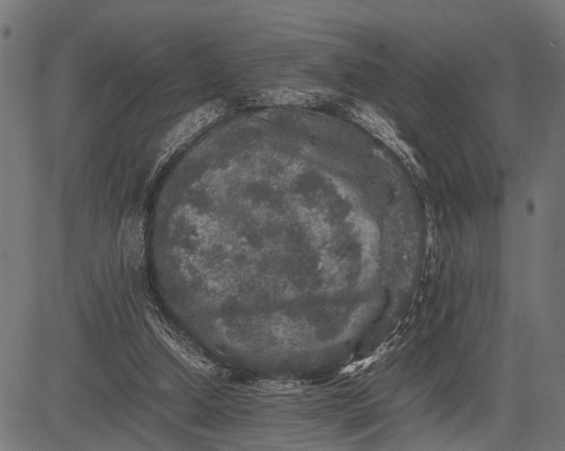 X0000082720250200702091820